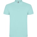 Heren Polo Star Roly PO6638 Green Mint